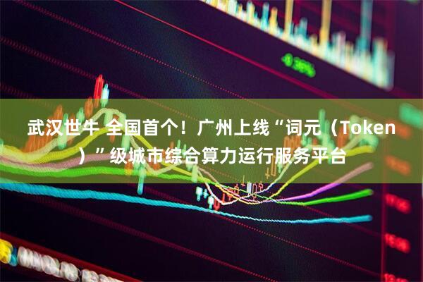 武汉世牛 全国首个!广州上线“词元(Token)”级城市综合算力运行服务平台